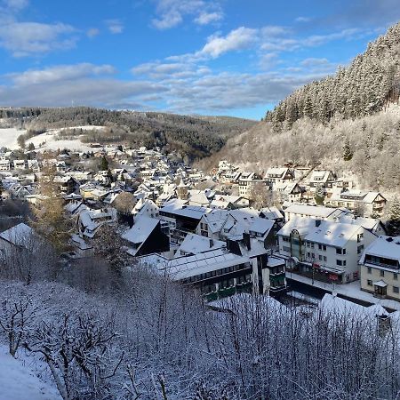 Landhaus Muehlenberg Виллинген Экстерьер фото